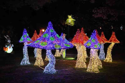 Facade window and ceiling lighting solution