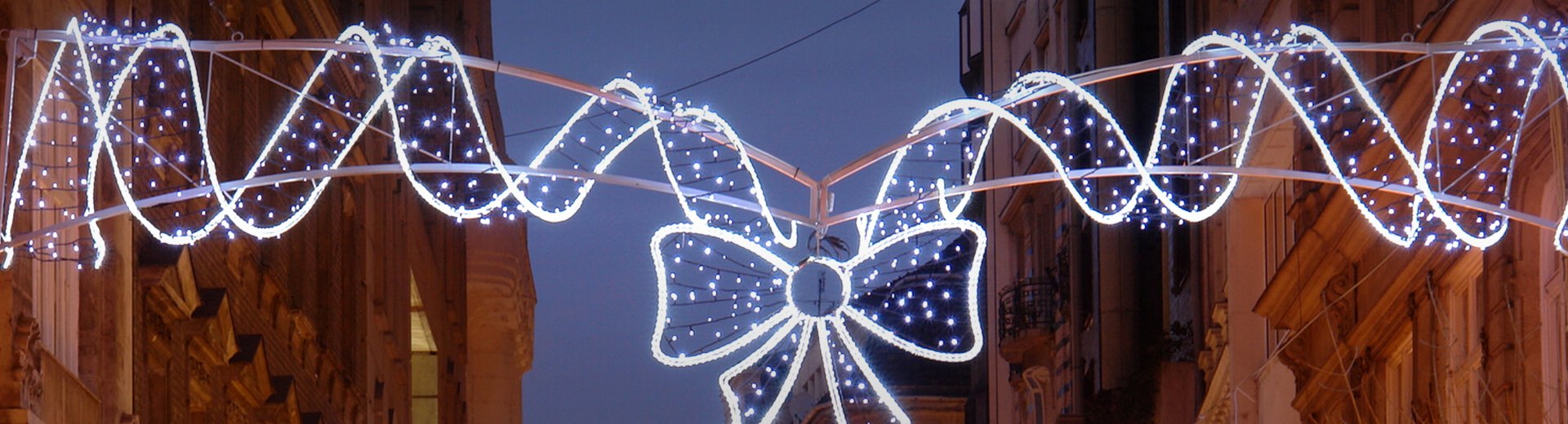LED Fairy String Lights