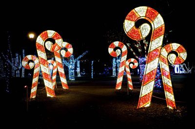 Custom holiday lighting products