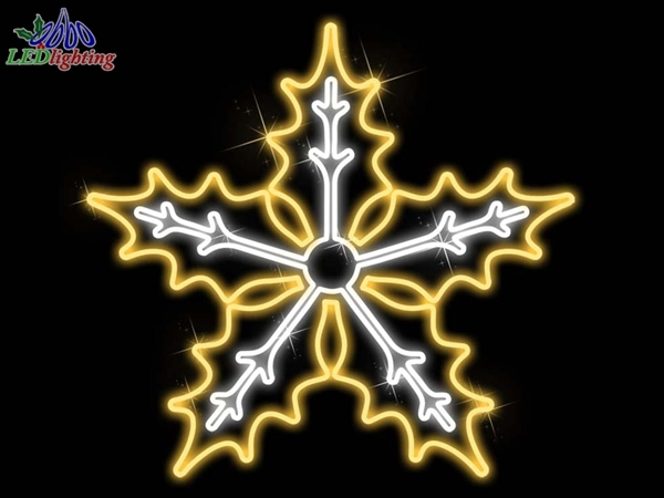 OB-2DXH-26007